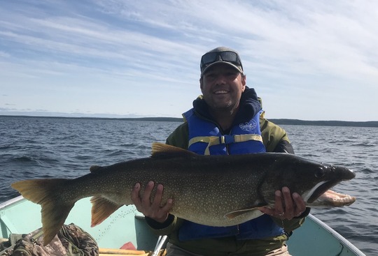 Lake Trout