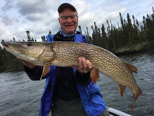 Northern Pike
