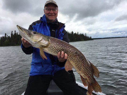 Northern Pike