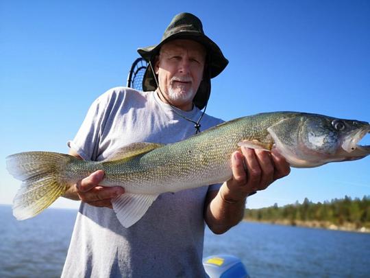 Walleye