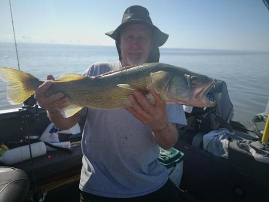 Walleye