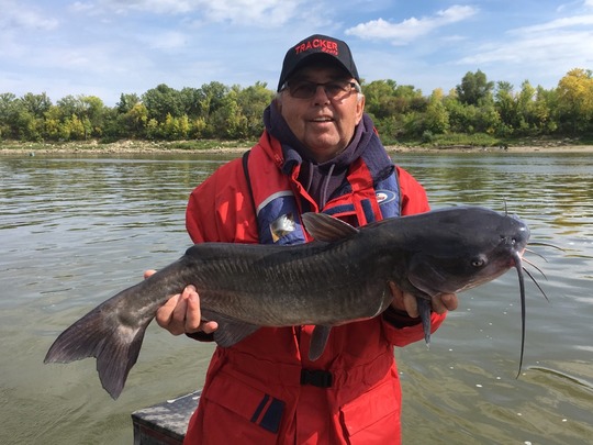 Channel Catfish