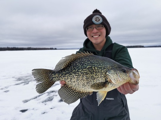 Black Crappie