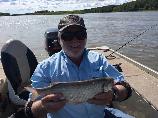 Goldeye