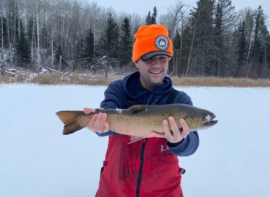 Tiger Trout