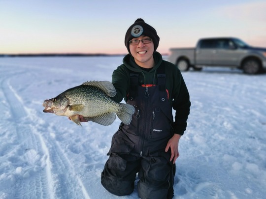 Black Crappie