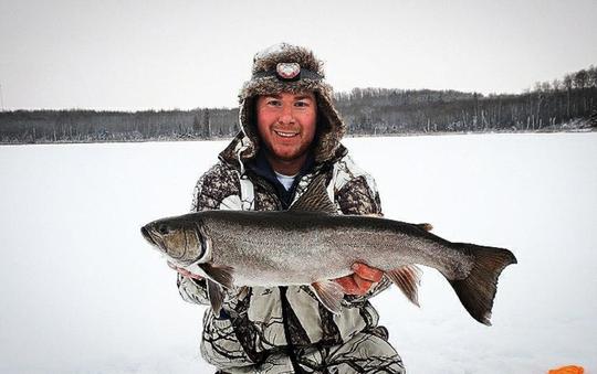 Tiger Trout