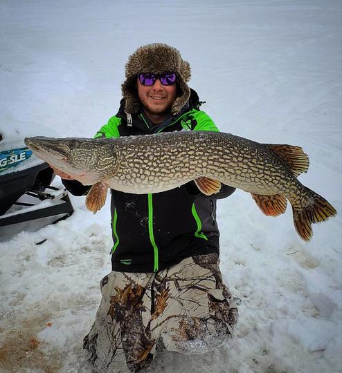 Northern Pike