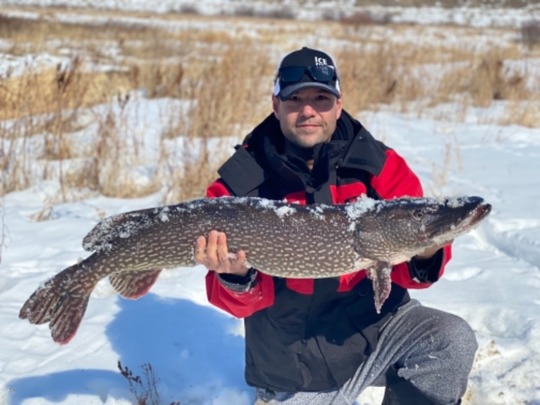 Northern Pike