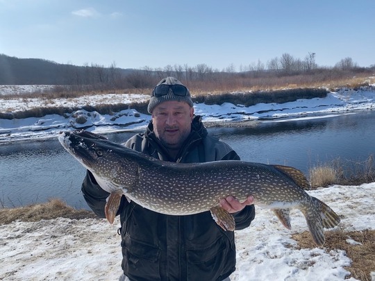 Northern Pike