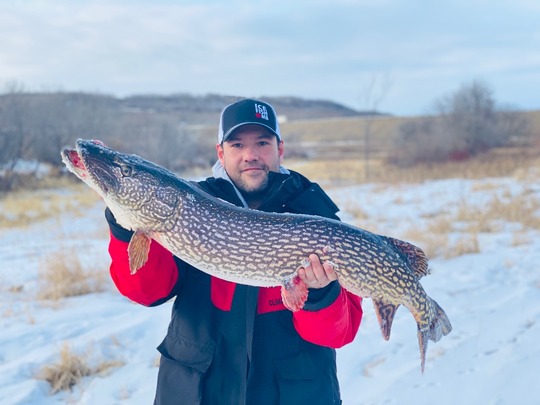 Northern Pike