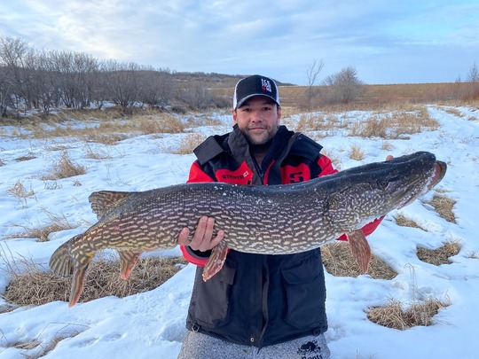 Northern Pike