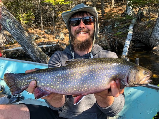 Brook Trout