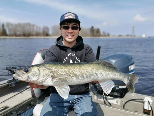 Walleye