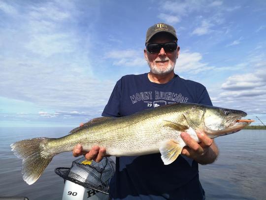 Walleye