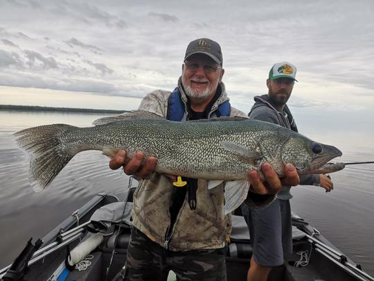 Walleye