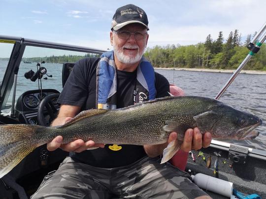 Walleye