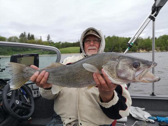 Walleye