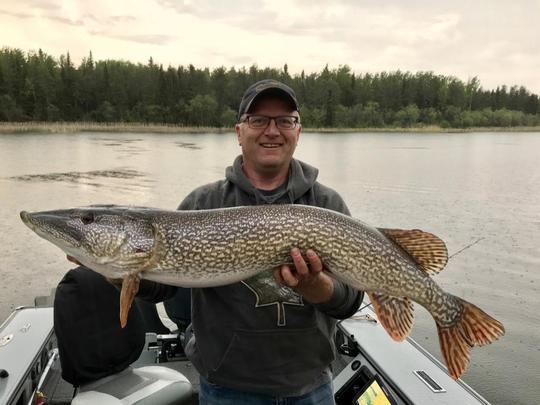 Northern Pike