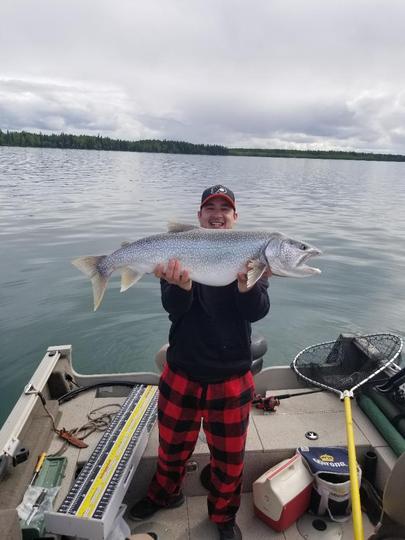 Lake Trout