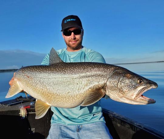 Lake Trout