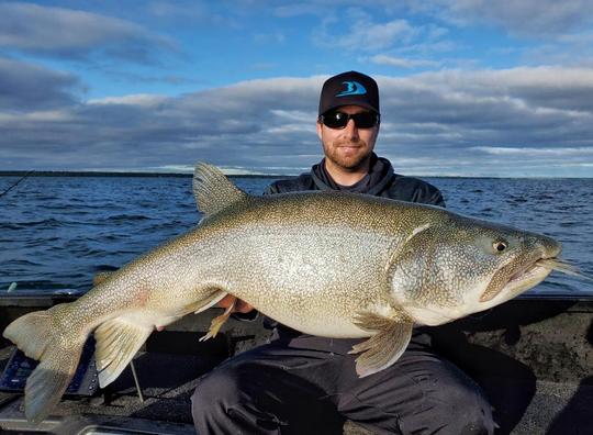 Lake Trout