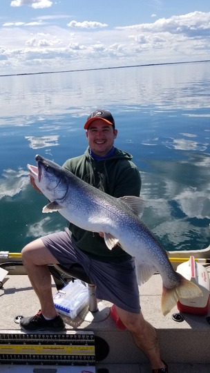 Lake Trout