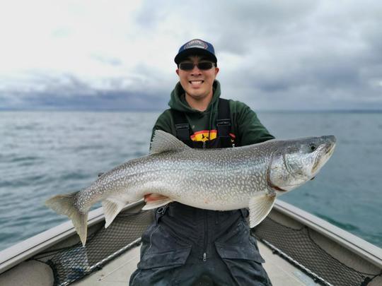 Lake Trout