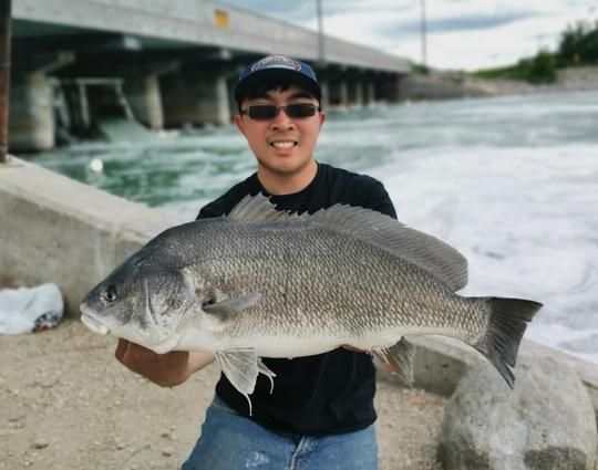 Freshwater Drum