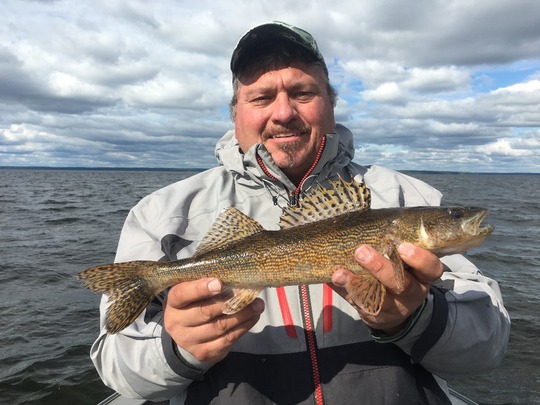 Sauger