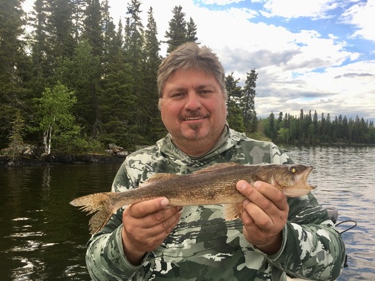 Sauger