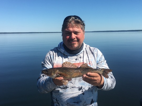 Sauger