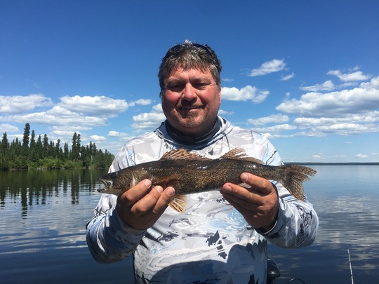 Sauger