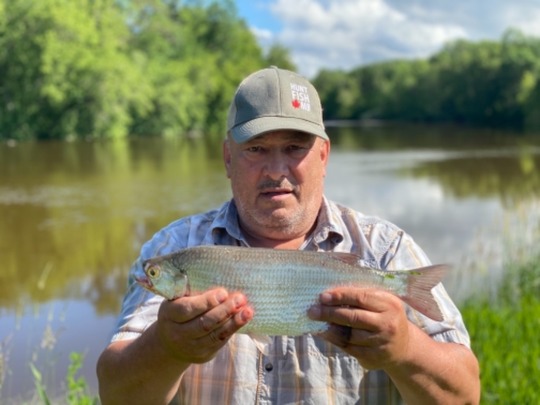 Goldeye