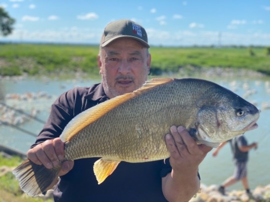 Freshwater Drum
