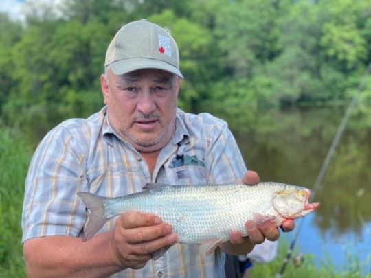 Goldeye