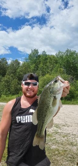 Largemouth Bass
