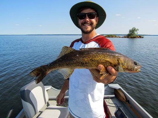 Sauger