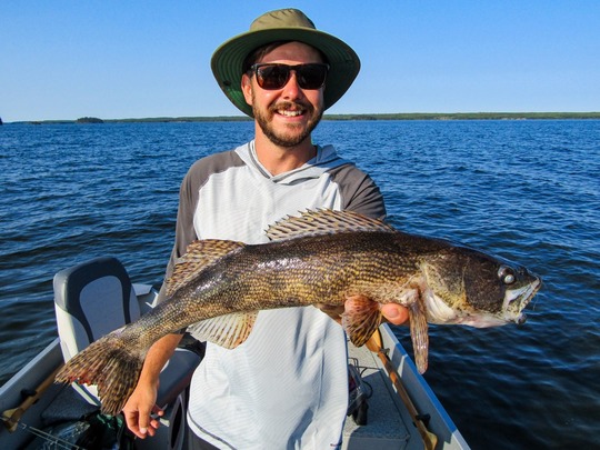 Sauger