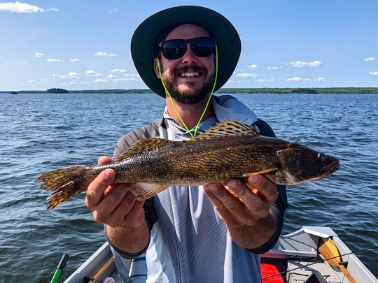 Sauger