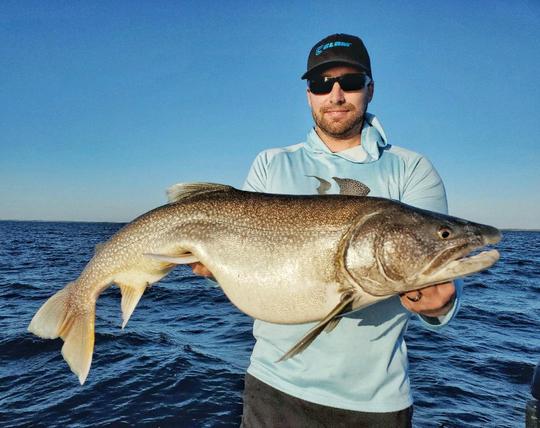 Lake Trout