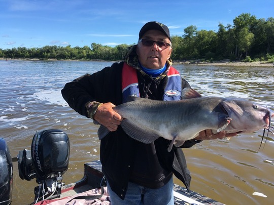 Channel Catfish