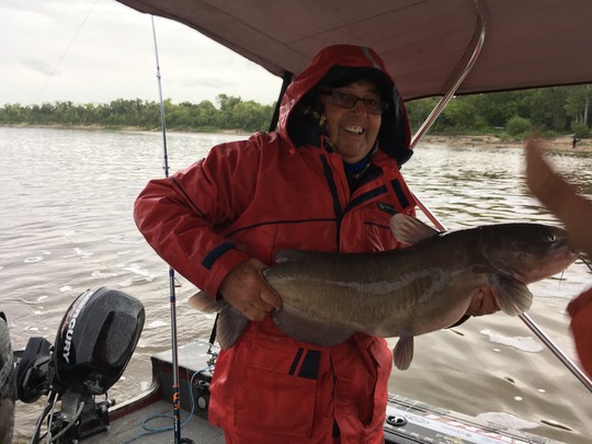 Channel Catfish
