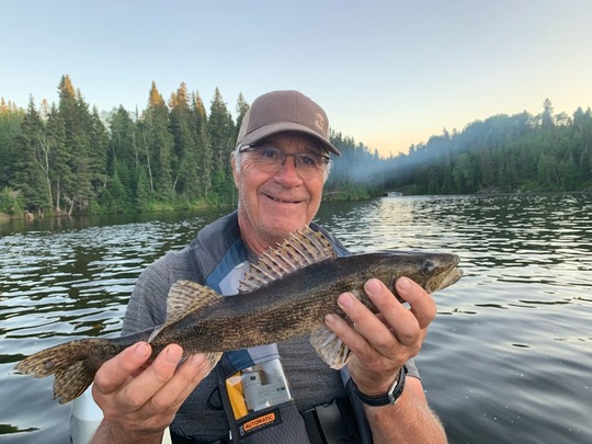 Sauger