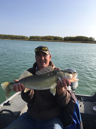 Walleye