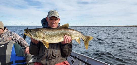 Lake Trout