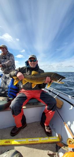 Lake Trout