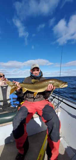 Lake Trout