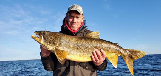 Lake Trout