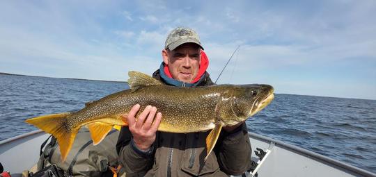 Lake Trout